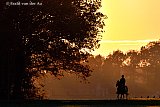 18-11-2018 Breda - Een amazone maakt tegen zonsondergang een rondje in De Vierde Bergboezem. - Fotokrant