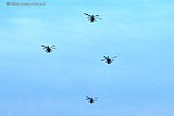 06-12-2021 Breda - Amerikaanse Apache helikopters die uit Oost- Europa komen vliegen boven de Haagse Beemden. Ze vliegen naar Vlissingen waar ze ingescheept worden voor hun terugreis  naar Amerika. - Fotokrant