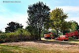 16-08-2022 Breda - Op de ligweide van de Asterdplas heeft een heuse kaalslag plaatsgevonden. Eerder waren al 2 bomen in deze bosschage gekapt en vandaag klonk opnieuw het geluid van de kettingzaag.
 - Fotokrant