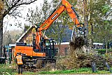24-11-2020 Breda - In het kader van de herinrichting van de Asterdplas is begonnen met het verwijderen van bomen en struiken. - Fotokrant