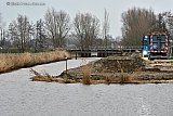18-12-2023 Breda - Langs rivier De Mark is een deel van de oeverbeplanting verwijderd en is een platau ontstaan. - Fotokrant