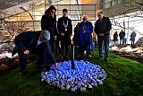 24-01-2020 Breda - Onder toeziend oog van burgemeester Paul Depla leggen Bredanaars lichtgevende stenen in het zojuist onthulde Holocaust monument.Dit gebeurd omdat 75 jaar geleden concentratiekamp Auschwitz werd bevrijd.  - Fotokrant