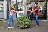 28-07-2020  Breda -Ook bij Huize Raffy werd een kar vol met gladiolen afgeleverd. Medewerkers namen de gladiolen uit voorzorg buiten in ontvangst. - Fotokrant
