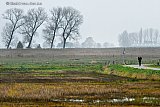 29-11-2018 Breda - Na een lange droge warme periode zorgt de regen voor het 1e herstel van de natuur in de Vierde Bergboezem. - Fotokrant