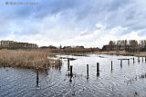 15-01-2023 Breda - Water dat vanuit de rivier De Mark over de oevers stroomt word geborgen op weilanden in de Vierde Bergboezem. - Fotokrant