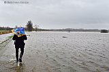 14-01-2023 Breda - Zover je kijken kunt zijn weilanden onder gelopen door de overgelopen rivier De Mark. - Fotokrant