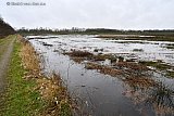 05-03-2020 Breda-  Door de vele regenval staat een deel van de Vierde Bergboezem vol water. Deze is destijds aangelegd om de binnenstad van Breda droge voeten te laten houden bij veel neerslag. - Fotokrant