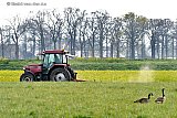30-03-2022 Breda -Boeren bewerken het land in de polder van de Haagse Beemden als voorbereiding op het zaaien van gewassen. Door de oorlog in de Oekraine passen veel boeren hun zaaigoed aan. - Fotokrant