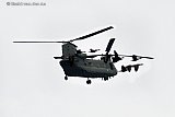22-02-2022 Breda - Geschrokken ganzen vliegen op als er een chinook helikopter laag over komt in de Vierde Bergboezem nabij  kerkdorp Terheijden. - Fotokrant