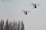 08-02-2023 Breda - Chinook transporthelikopters vliegen laag over de boomtoppen aan de rand van de Haagse Beemden.  - Fotokrant