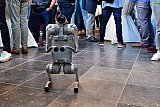 12-09-2024 Breda - Tijdens  het congres AI in de stad liep er een robothond rond die kunstjes deed tussen de aanwezige congresbezoekers.  - Fotokrant