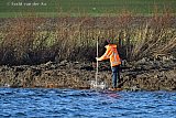22-01-2024 Breda - Het is opnieuw hoog water. De damwanden die 2 weken geleden ten noorden van de stad zijn geslaan lopen over met water uit rivier De Mark. - Fotokrant
