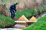 23-02-2023 Breda - Een deel van de vaten was omgegooid waardoor de chemische stoffen het water in waren gelopen. Het water is afgedamd en weggepompt. De vervuilde grond gaat men nog afgraven. De kosten van deze vervuiling zijn voor de gemeente. - Fotokrant