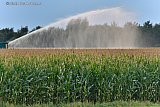 03-09-2022 Breda  - De droogte duurt voort en om de mais te redden maken beregeningsinstallaties overuren in het buitengebied. - Fotokrant