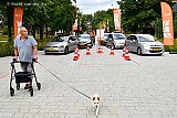02-07-2020 Breda - Een buurtbewoner die zn hondje aan het uitlaten was kwam toch eens kijken wat de oorzaak was van de file. - Fotokrant