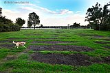 26-09-2022 Breda - Het gras op de ligweide van de Asterdplas is zich na heel wat regenbuien aan het herstellen. Wel zijn nog de plekken te zien waar rijplaten lagen tijdens popfestival Duikboot. - Fotokrant