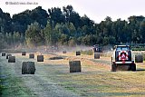 08-09-2021 Breda - Aan de rand van de woonwijk Haagse Beemden halen boeren opnieuw een oogst van het gemaaide gras binnen. . - Fotokrant