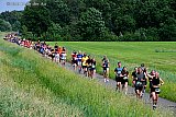 31-05-2026 Breda - Deelnemers in een lange sliert tijdens de 5 km van de Haagse Beemdenloop. - Fotokrant