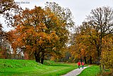 16-11-2020 Breda -  Het is volop herfst en wie de drukte in het weekend wil vermijden gaat op maandag aan de wandel.  Zoals hier in het Haagse Beemden bos. - Fotokrant