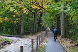 22-10-2026 Ulvenhout - In het Ulvenhoutse bos zijn op verschillende plekken hekken geplaatst. Ook stuiten wandelaars op natuurlijke obstakels.
 - Fotokrant
