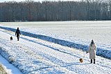 19-01-2024 Breda - Baasjes gaan in het witte landschap aan de wandel met hun hondjes. - Fotokrant
