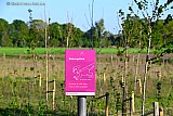 30-04-2026 Breda -  Nadat wijkbewoners signalen hadden afgegeven dat honden achter dieren aangingen in het buitengebied heeft de gemeente nu roze borden bij het Levensbos geplaatst. Met daarop de teksten Natuurgebied en Bescherm wilde dieren houd uw hond aangellijnd. - Fotokrant