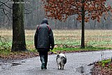 12-01-2023 Breda - Het lijkt met 11C wel herfst. De hele dag valt er veel regen. Ook al is het hondenweer de hond moet wel uitgelaten worden. - Fotokrant