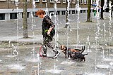19-06-2023 Breda - Het is al een paar dagen hondenweer, broeierig warm. Soms zo warm dat de honden al worden afgekoeld in de fontein. - Fotokrant