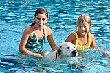 07-09-2022 Breda - Hond Joop ging het zwembad in met Senne en Fenna. - Fotokrant
