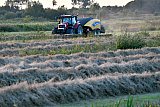 22-08-2023 Breda - In de Vierde Bergboezem zijn boeren opnieuw aan het hooien. - Fotokrant