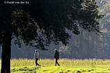 14-10-2024 Breda - Nadat de regen is gestopt is het heerlijk weer geworden en gaan mensen wandelen in de  herfstzon aan de rand van  de stad. - Fotokrant