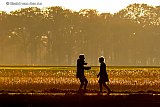 10-11-2019 Breda -  Een stelletje is op een landweggetje aan het dollen in de herfstzon. - Fotokrant