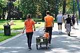 27-04-2020 Breda - In stadspark Het Valkenberg waar je normaal over de koppen kunt lopen tijdens de vrijmarkt was het zoeken naar wat oranje. - Fotokrant