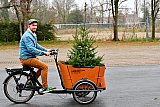 04-12-2021  Breda - Een kerstboom met kluit blijkt prima te vervoeren in een bakfiets. In januari kan de boom met kluit weer worden teruggebracht dan planten ze hem weer op een akker en over 2 jaar kan hij weer staan schitteren in een andere huiskamer.
 - Fotokrant
