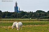 03-08-2019 Terheijden - De Sint Antonius Abt kerk staat nog steeds in de steigers. - Fotokrant