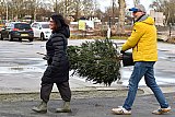 07-01-2023 Breda - De verwachting is dat er steeds meer kerstbomen met kluit hergebruikt gaan worden. Dit is duurzamer en milieuvriendelijker doordat ze niet verbrand hoeven te worden. - Fotokrant