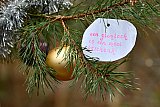 20-12-2021   Ulvenhout -  In de kale spar hangen ballen en slingers. Maar ook hangt er een kaartje in met de prachtige tekst " Een glimlach is een mooi geschenk". Wie de boom versierd heeft is onbekend. - Fotokrant