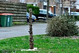 03-01-2022 Breda -Omdat er vanwege de coronamaatregelen geen kerstboomverbrandingen plaats kunnen vinden kunnen kerstbomen meegegeven worden met het GFT afval. Klein maken zoals hier iemand deed hoeft niet. - Fotokrant