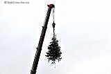 29-12-2020 Breda - Een kerstboom hangt meters hoog in een hijskraan. Nog even en de kerstbomen kunnen de deur weer uit. Kerstboomverbrandingen zijn er ivm het besmettingsgevaar komend jaar niet. De vuilniswagen neemt ze mee. - Fotokrant