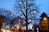 02-02-2019 Ulvenhout - Het is al Februari en de kerstverlichting hangt nog in de boom in het kerkdorp. - Fotokrant
