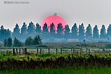 26-08-2019 Breda -Een hete luchtballon lijkt in een lucht vol smog te willen landen op de ondergaande zon. Tafereel was te zien vanuit de Haagse Beemden. - Fotokrant