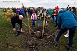 13-11-2024 Breda - De 1e bomen van het Levensbos zijn eind van de middag geplant aan de rand van de wijk Haagse Beemden . Wethouder  Bakker  plante de 1e boom samen met kinderen op een heuvel.  - Fotokrant