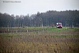 22-01-2026 Breda - Een bestelbus van de gemeente maakte een rondje door het terrein van het Levensbos. - Fotokrant