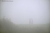 06-10-2026 Breda - Zeer dichte mist aan de rand van de stad houd wandelaars niet tegen om erop uit te trekken. - Fotokrant