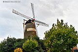 01-09-2023 Ulvenhout - In het kerkdorp staat op molen de Korenbloem Bedank! Het staat er om de donateurs te bedanken die het mogelijk maakte de wieken te vervangen. - Fotokrant