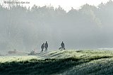 23-10-2024 Breda - De dag is begonnen met mist. Hier lopen mensen al vroeg op een dijk aan de rand van de Haagse Beemden. - Fotokrant