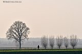10-01-2022 Breda - Bomen en struiken ten noorden van de stad zijn kaal. In de avond komt er mist op terwijl de hond nog uitgelaten word. - Fotokrant