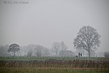 20-12-2025 Breda - Het is mistig weer. Op de binnendijk ten noorden van de stad zijn paaltjes te zien. Hier zijn de afgelopen weken bomen bij geplant. - Fotokrant