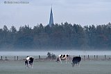 03-11-2021 Breda - Grondmist komt op in de polder  ten noorden van Breda. In de achtergrond de kerk van het dorp Terheijden.  - Fotokrant