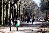 17-03-2020 Breda - Om er tijdens de Coronacrisis even uit te zijn gaan mensen genieten van het mooie lenteweer en wandelen in Het Mastbos. - Fotokrant